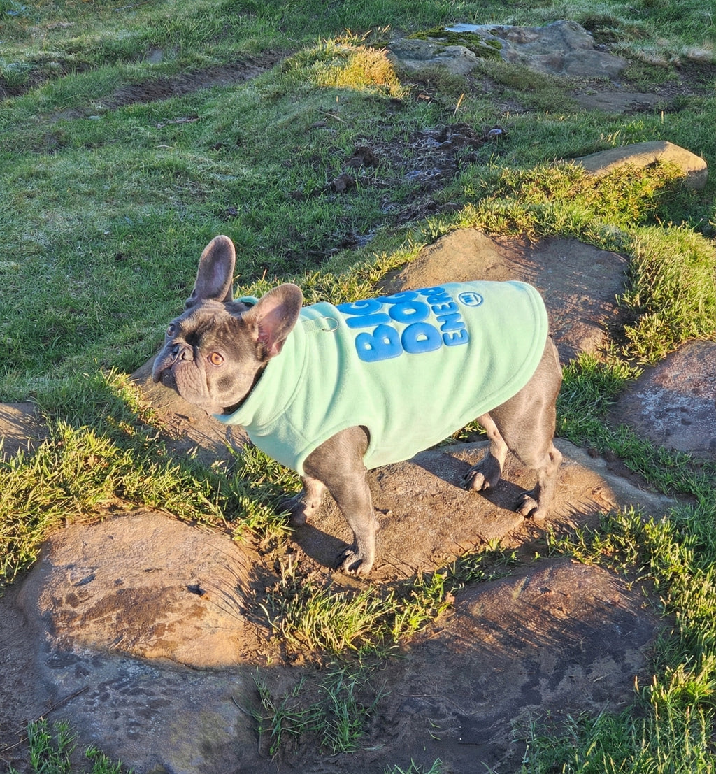 Big Dog Energy Fleece Coat